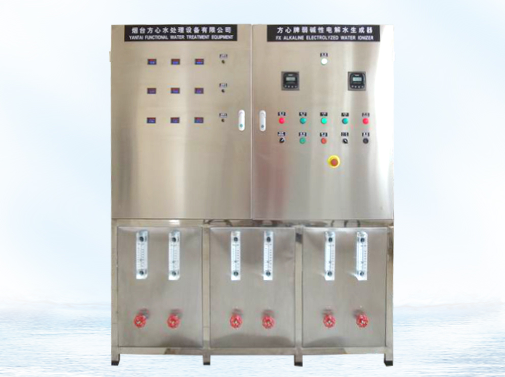 Weak Alkaline Water Ionizer (5T/H)