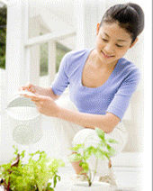 Electrolytic water at home (gardening)